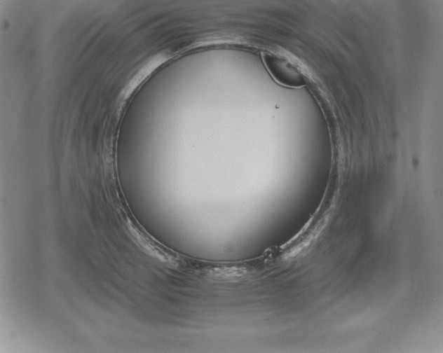 X0000080171137200612221244