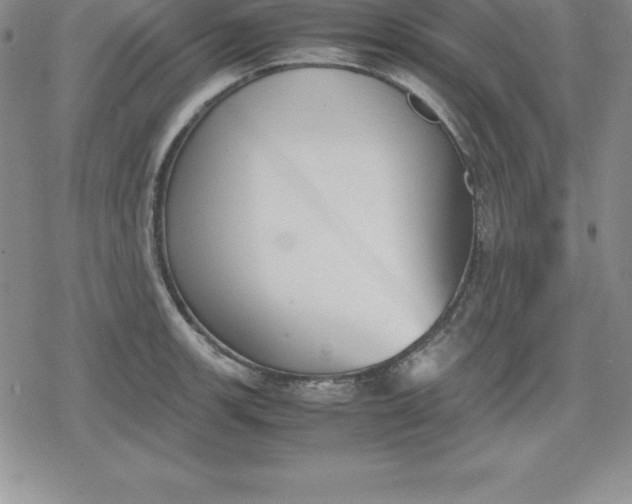 X0000080171139200612221244