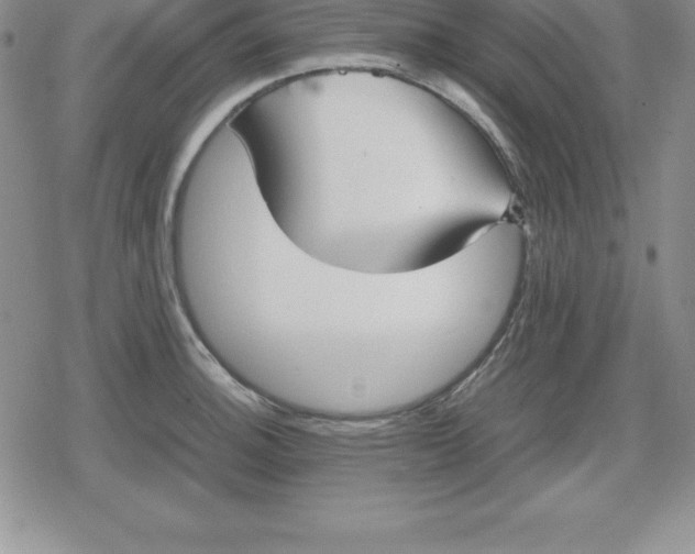 X0000080171140200612221244