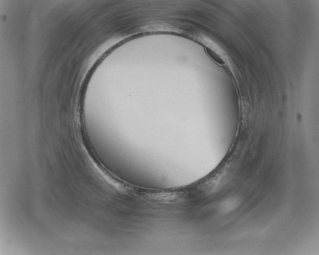 X0000080171141200612221244