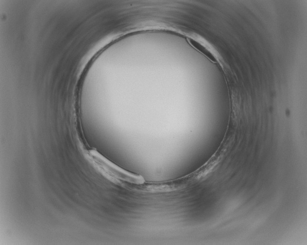 X0000080171142200612221244