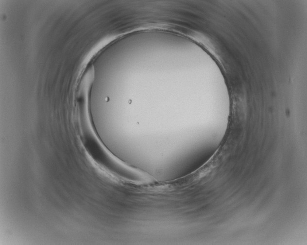 X0000080171143200612221244