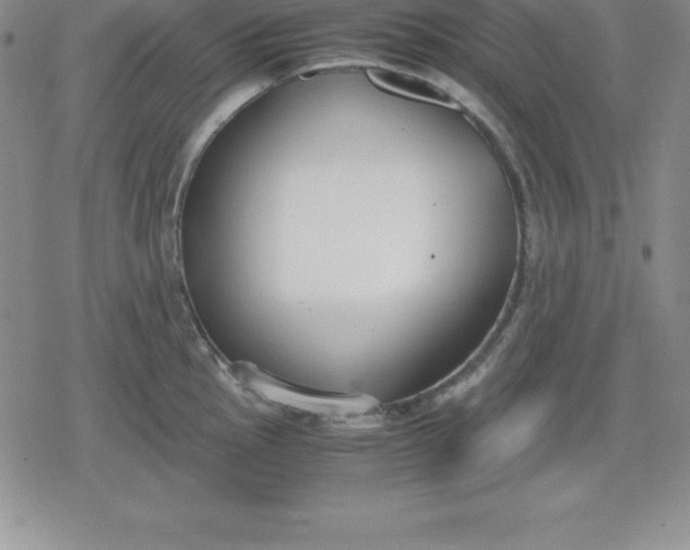 X0000080171145200612221244