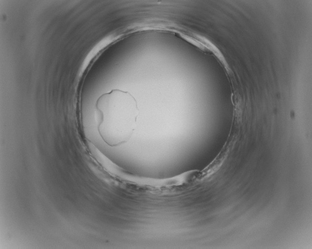 X0000080171146200612221244