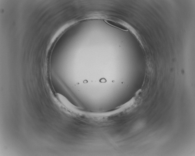 X0000080171147200612221244