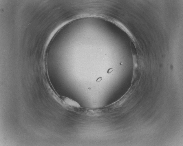 X0000080171148200612221244