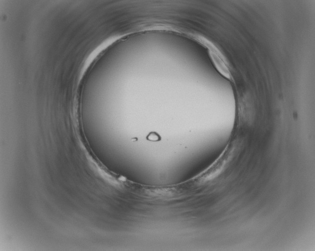 X0000080171149200612221244