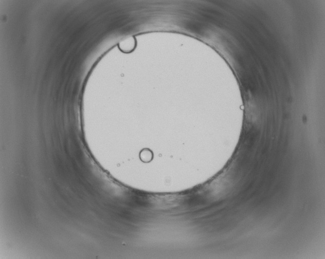 X0000080171150200612221244