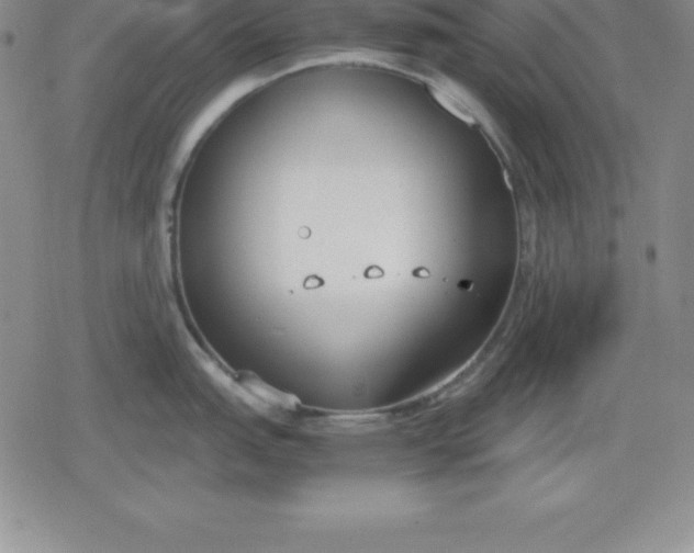 X0000080171151200612221244