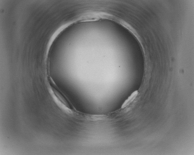 X0000080171152200612221244