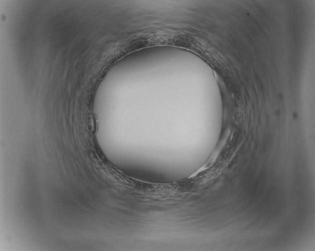 X0000080171153200612221244