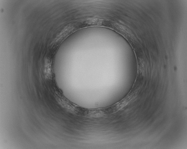 X0000080171154200612221244