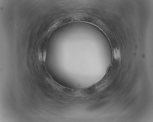 X0000080171155200612221244