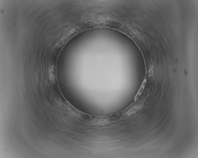 X0000080171156200612221244