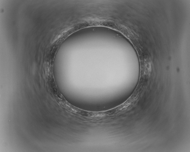 X0000080171157200612221244