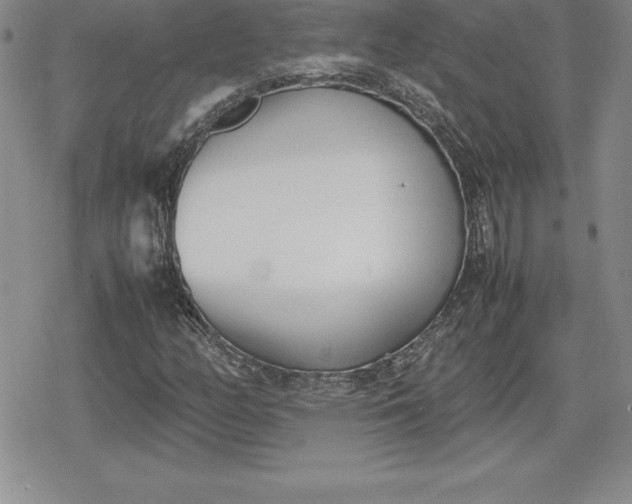 X0000080171158200612221244