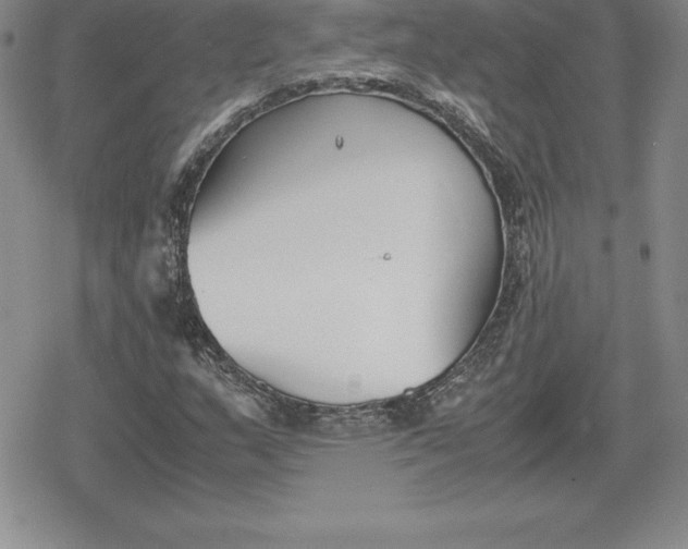 X0000080171159200612221243