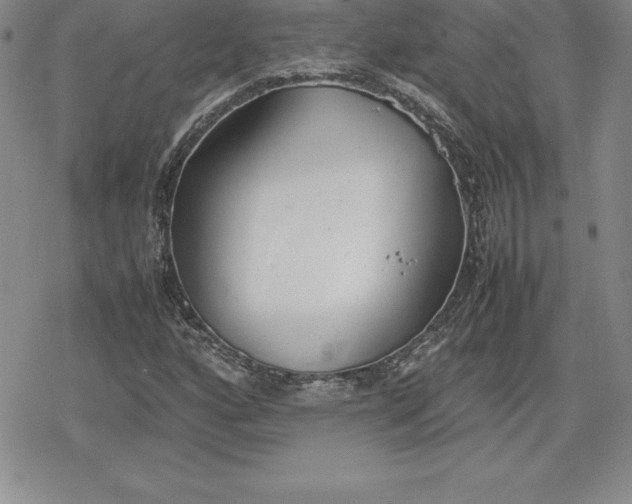 X0000080171160200612221243