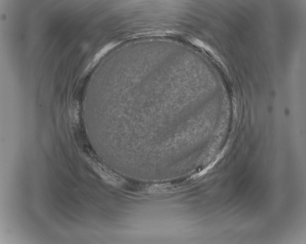 X0000080171161200612221243