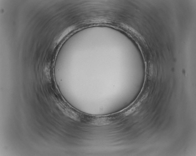 X0000080171162200612221243