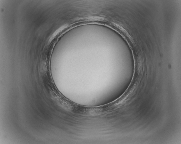 X0000080171163200612221243