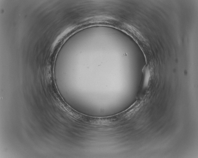 X0000080171164200612221243