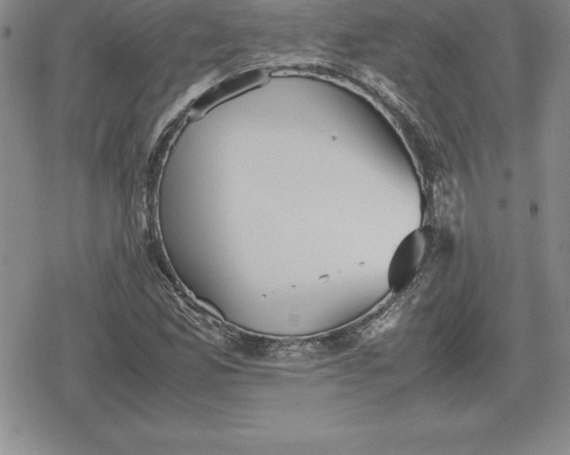 X0000080171165200612221243