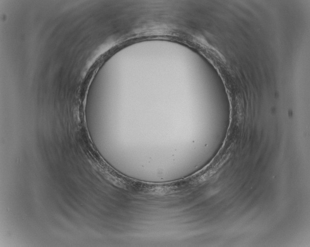 X0000080171166200612221243