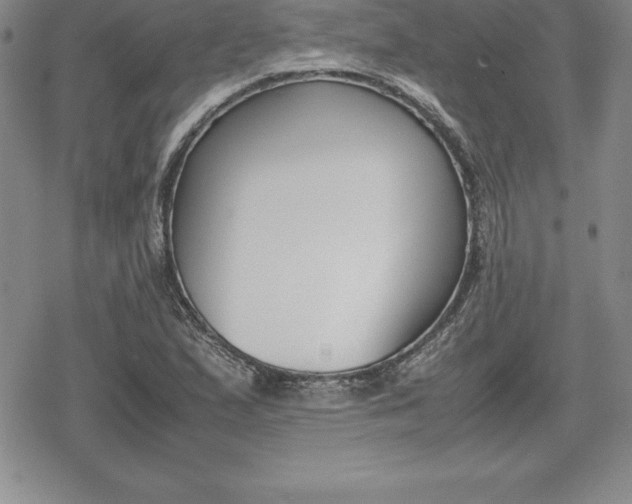 X0000080171167200612221243