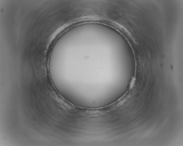 X0000080171168200612221243