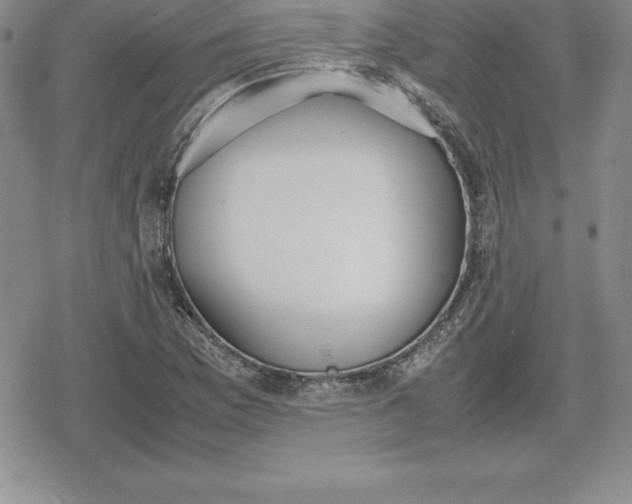 X0000080171169200612221243