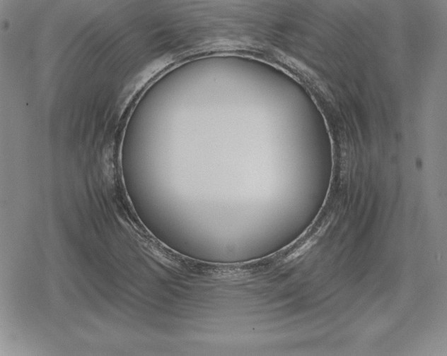 X0000080171170200612221243