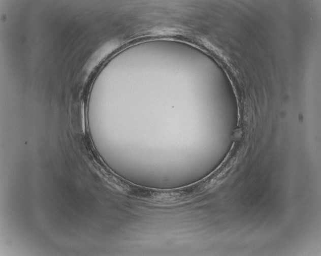 X0000080171171200612221243