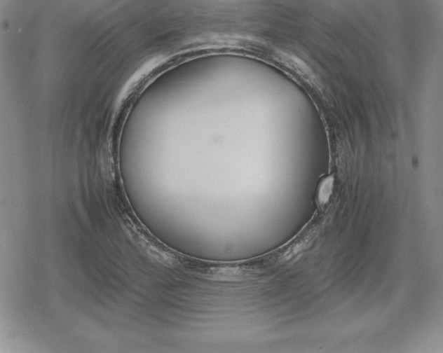 X0000080171172200612221243