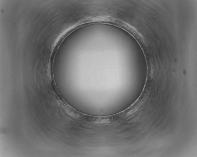 X0000080171174200612221243