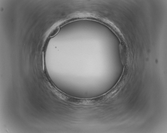 X0000080171175200612221243