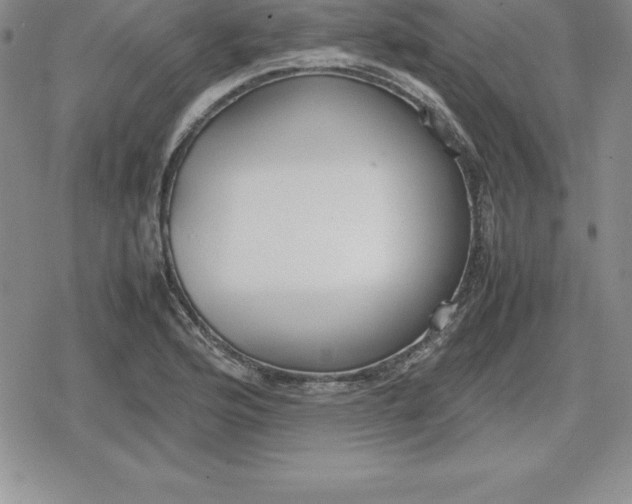 X0000080171176200612221243