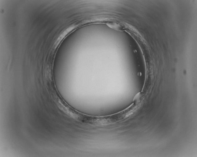 X0000080171177200612221243