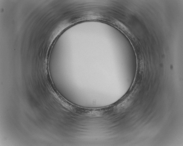 X0000080171178200612221243