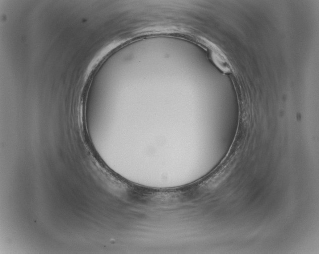 X0000080171179200612221243