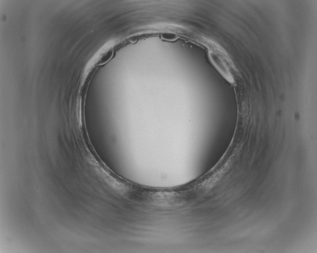 X0000080171180200612221243