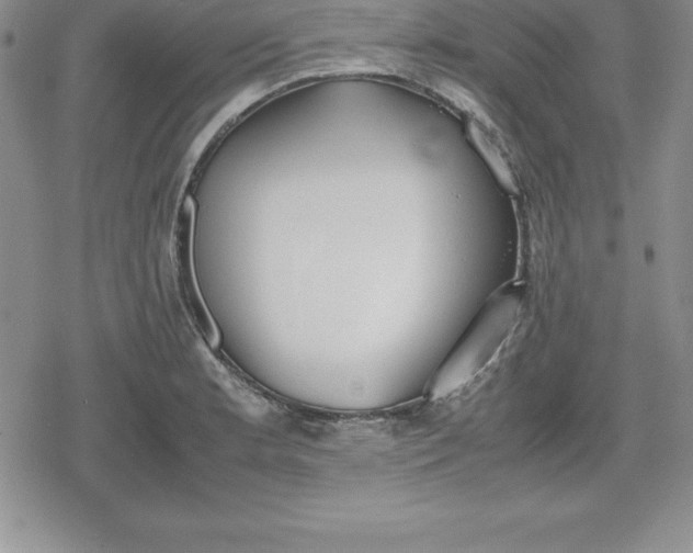 X0000080171181200612221243