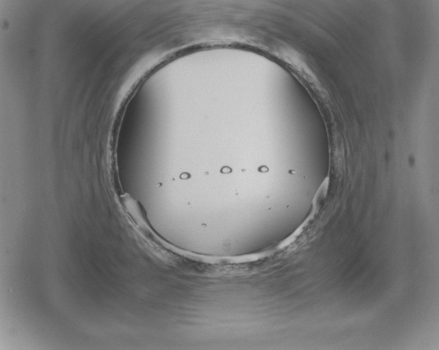 X0000080171183200612221243