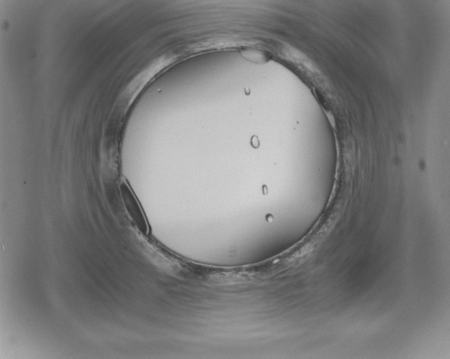 X0000080171185200612221243