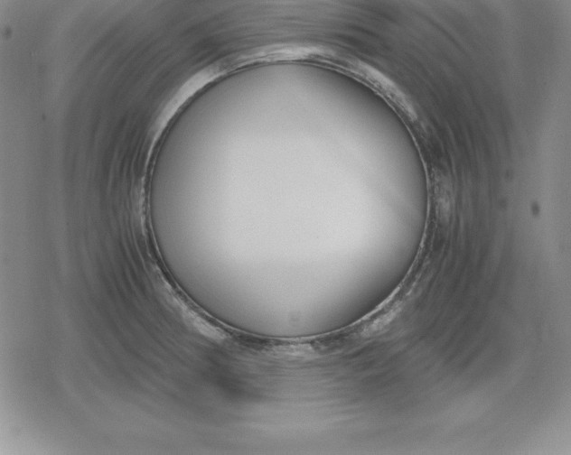 X0000080171186200612221243