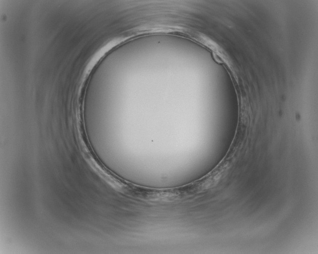 X0000080171187200612221243