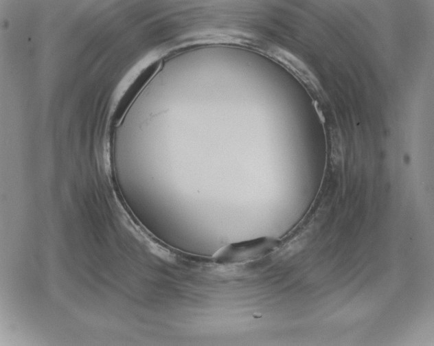 X0000080171188200612221243