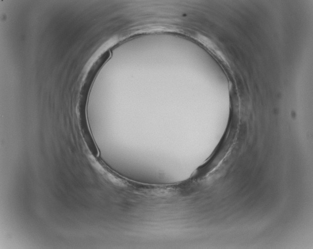 X0000080171189200612221243