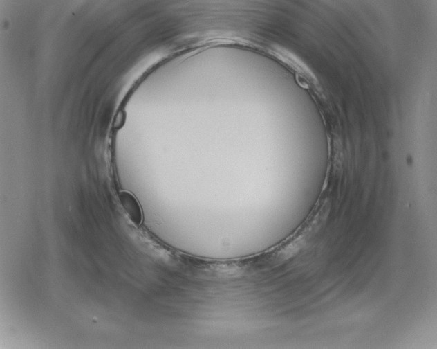 X0000080171190200612221243