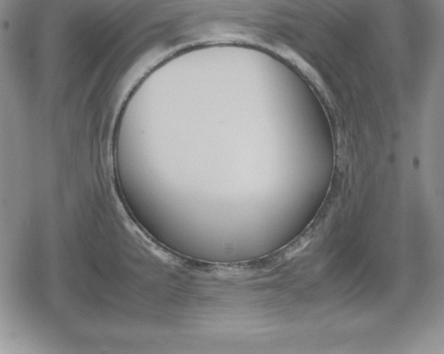 X0000080171191200612221243